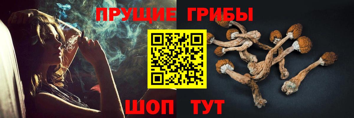 Галлюциногенные грибы прущие грибы Улан-Удэ