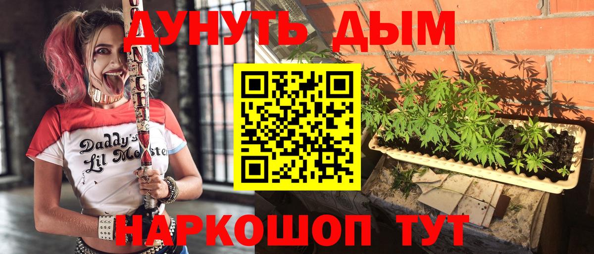 Улан-Удэ  Бошки марихуана план  Бошки Шишки THC 21%  Бошки Шишки тримм  Конопля семена  Вход с VPN 